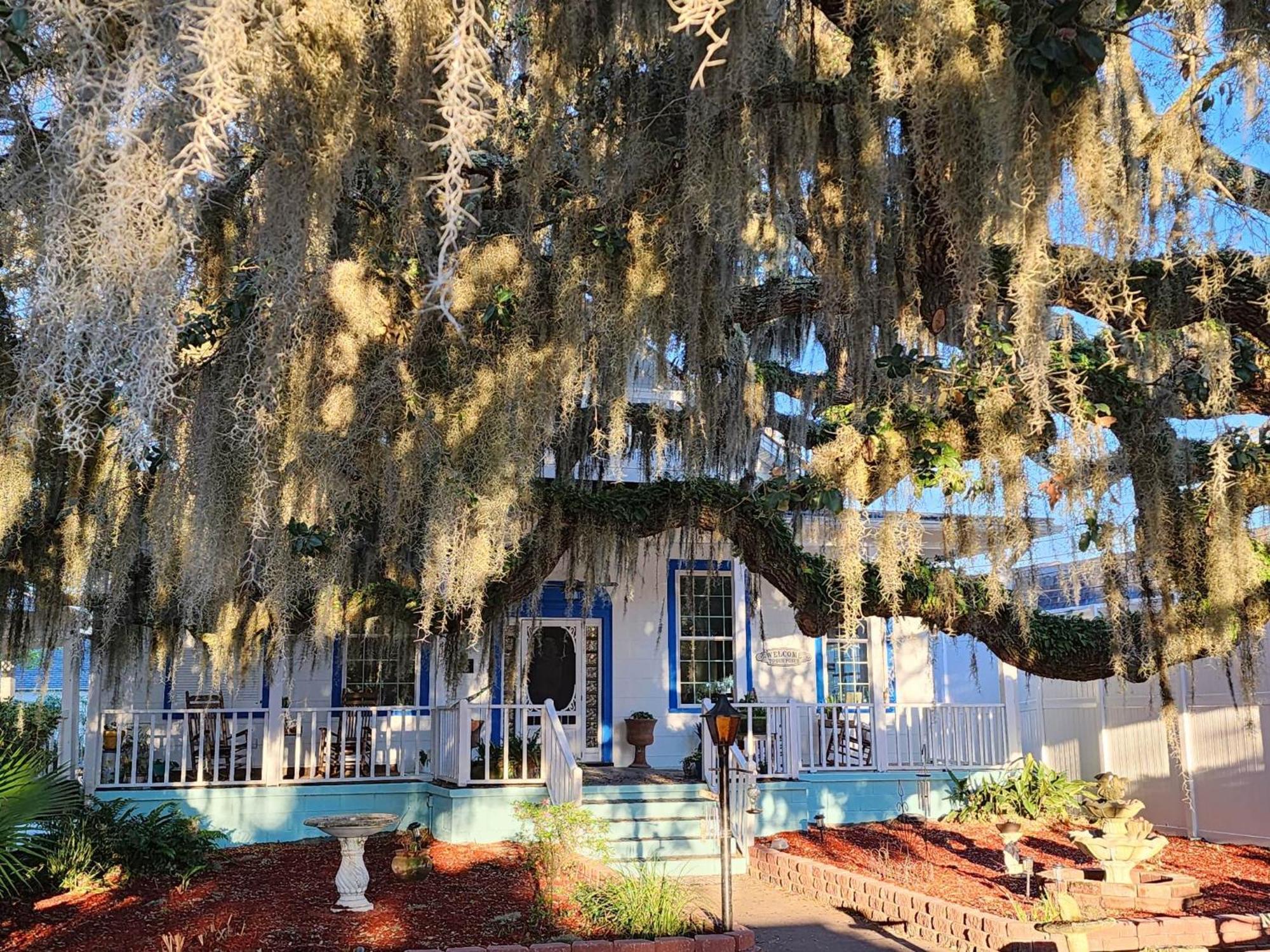Tybee Island Inn Bed & Breakfast Extérieur photo